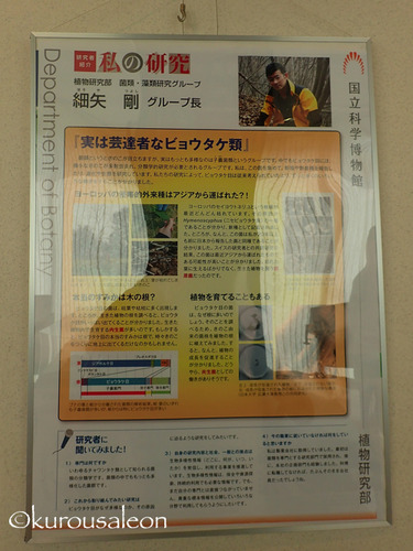 P4220110
