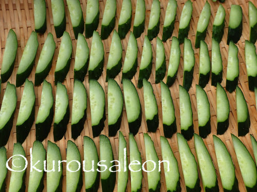 P7100014