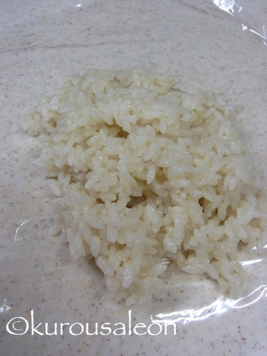 RIMG0065
