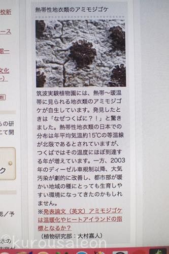 th_P8060024