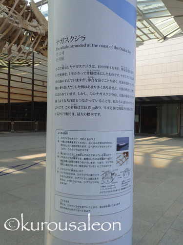 P1210082