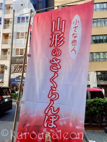 th_P5200051