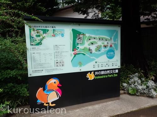 th_P8200385