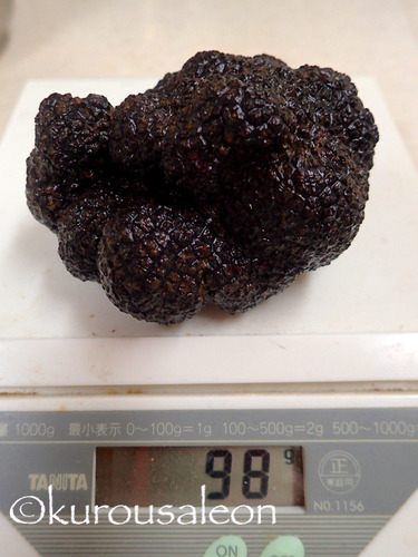 PB160025
