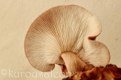 th_P3130005
