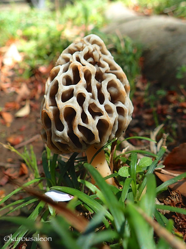 P4230036
