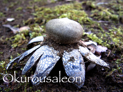 RIMG0035 copy copy copy copy