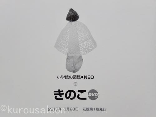 th_P7250134