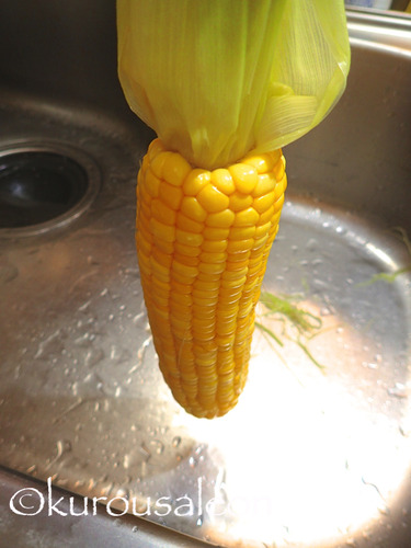 P6040019