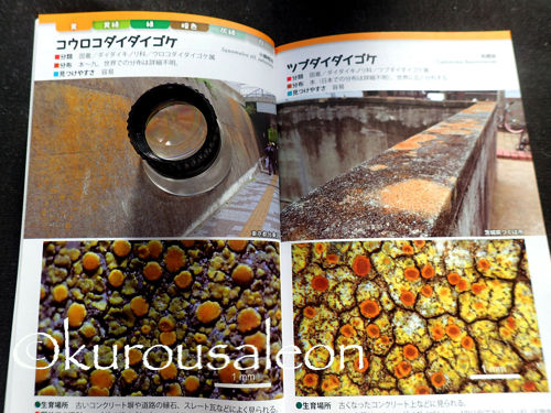 PC020001 copy