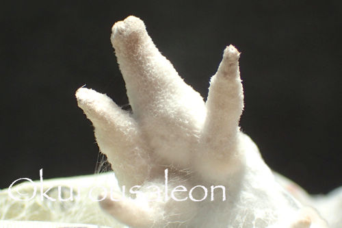 P1120042