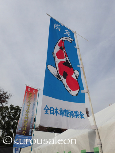PC040136