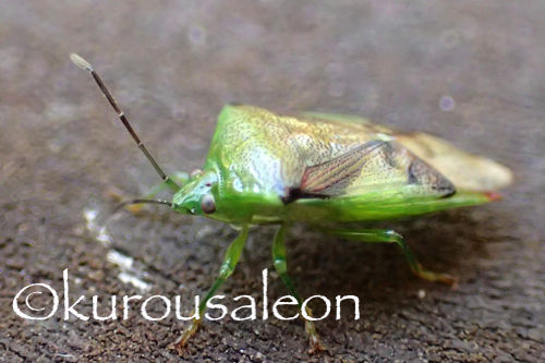 PB030093