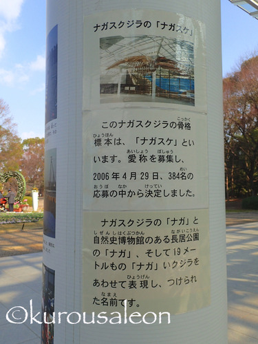 P1210084