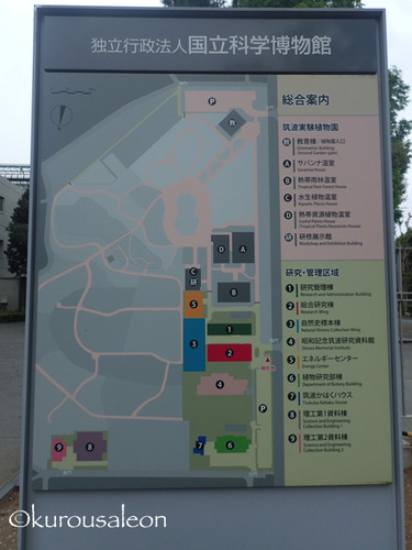 P5090051