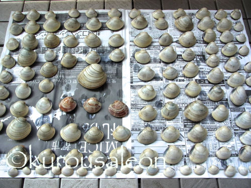 RIMG0055 copy copy copy