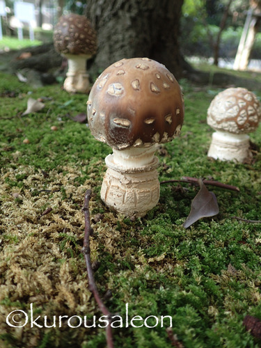 P9130010