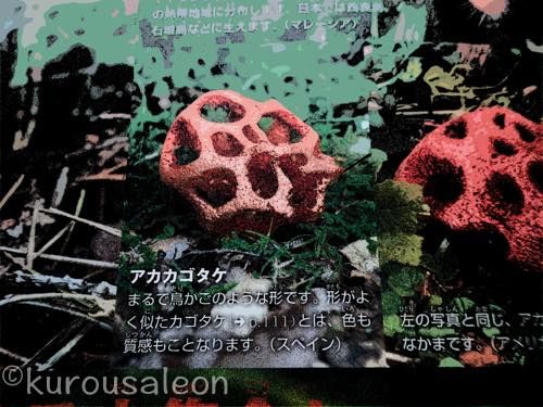 th_P7250128