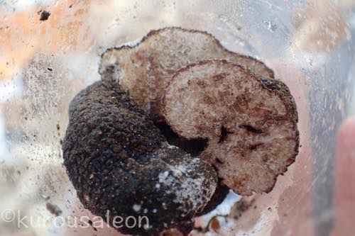 th_PA010106