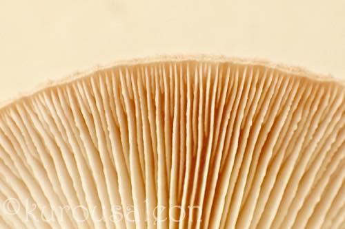th_P3130008