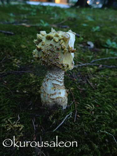 P9030077