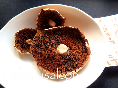 P6230004