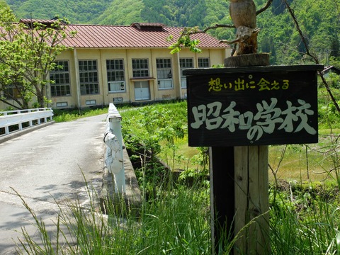 org4225884