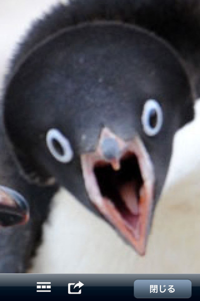 kf0rH