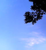 d9d54e4b.jpg