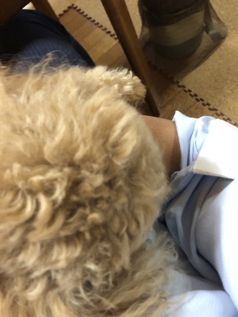 B6420A74-A9A2-4F5A-8D63-DEAA749CDA65