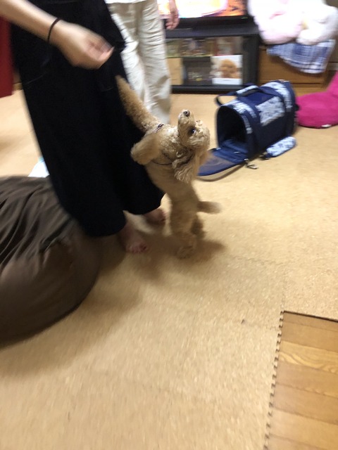 9E188AC5-59DE-4B11-A721-1F71F72F6FA4