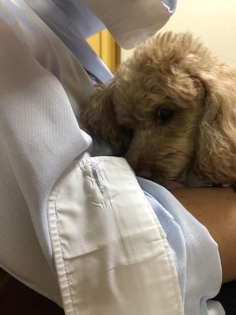 B9CF557A-6714-443C-A125-FC36A40F7CA5