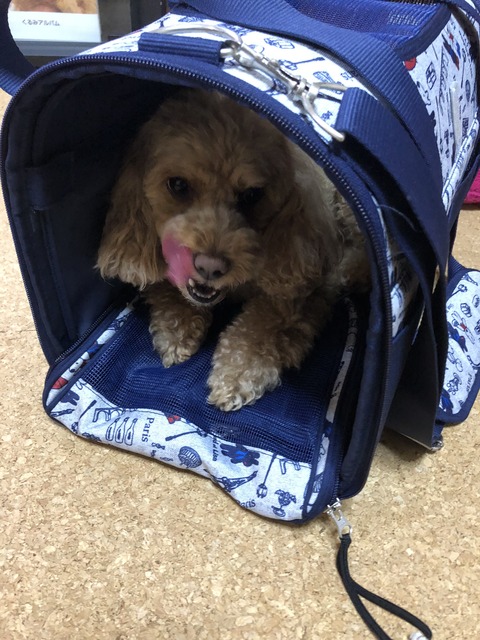 4BFF2255-AA7F-4FE6-A280-6DC1C429F1FC