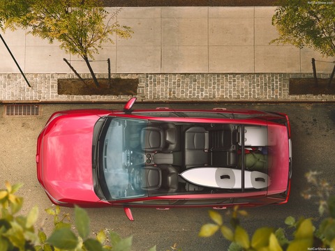 Toyota-RAV4-2019-1600-0a