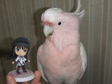 ���ޤ�6
