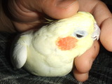 WF�ʥۥ磻�ȥե������ˤΰ���5