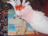 明けちゃったぜっ3a