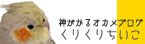 banner7