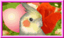 Heart&Rose