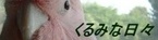 banner3