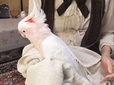 俺のクリスマス5