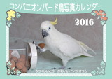 コンパニオンバードカレンダー2016カバー