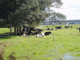 2011 10 008