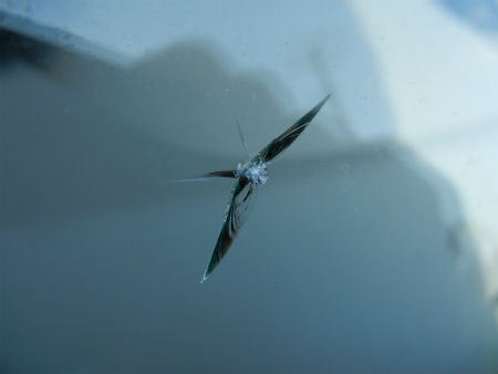 DSCN5417