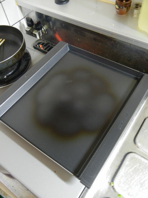 DSCN1096