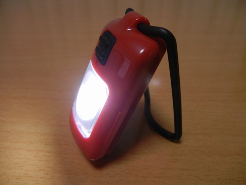 DSCN0133