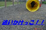追っかけこ