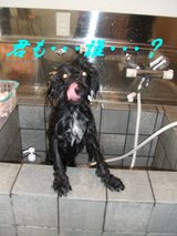 なつ???