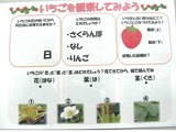 プレゼンテーション1