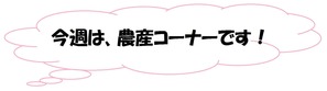 無題5